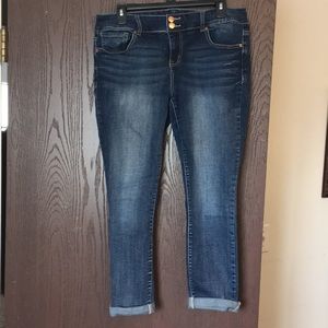 Vanity Ankle Jeans